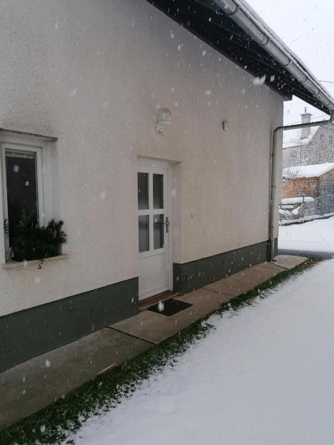 Apartma Tilika Кранська Гора Екстер'єр фото